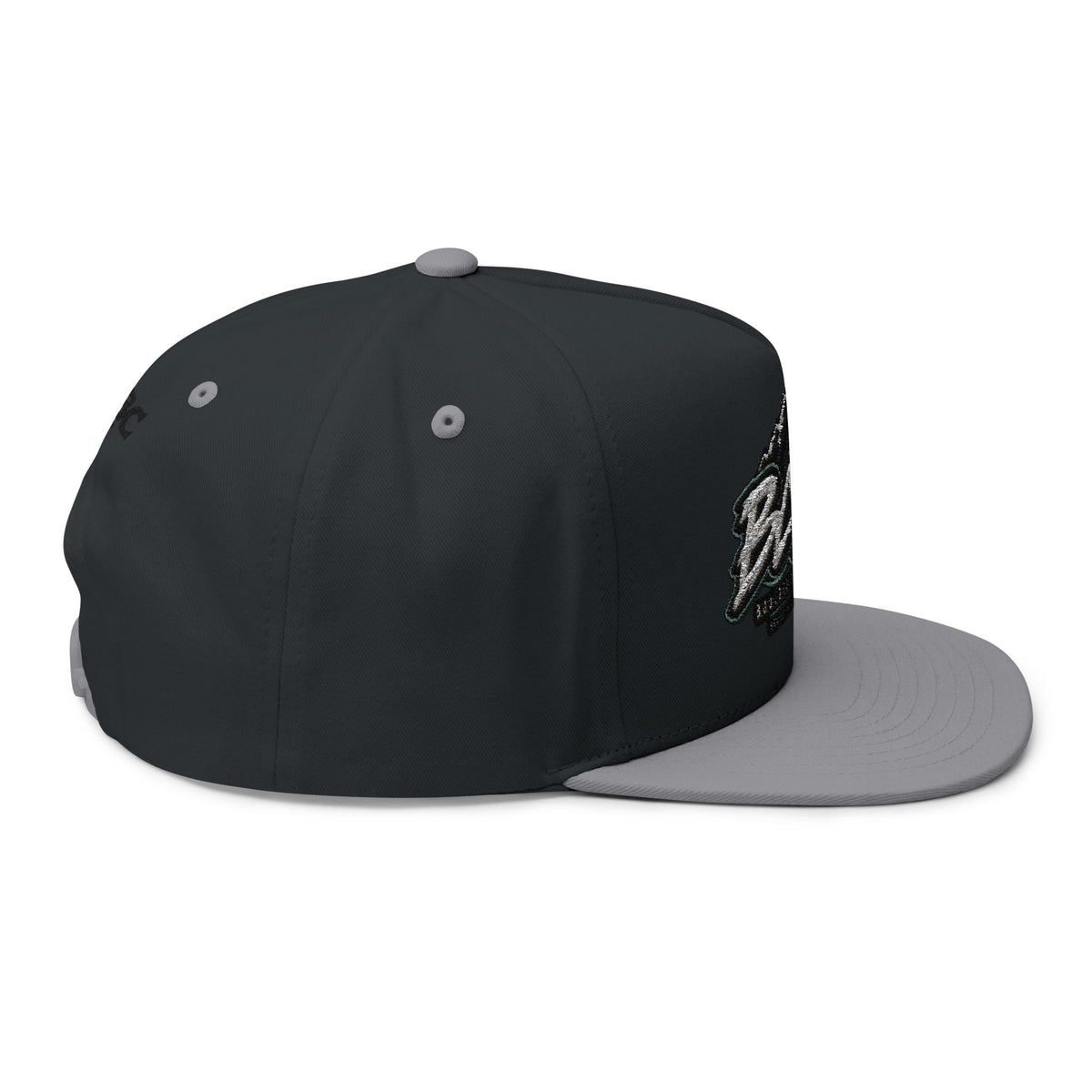 BCBC Flat Bill Cap — Embroidered Skate Logo Snapback